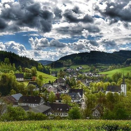 Vergissmeinnicht Sauerland Schmallenberg Kültér fotó